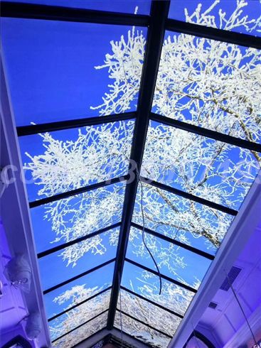 主人房吊頂案例